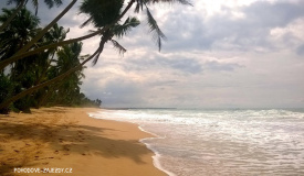 14 denní poznávací zájezd na Srí Lance