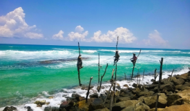 13 denní poznávací zájezd na Srí Lance