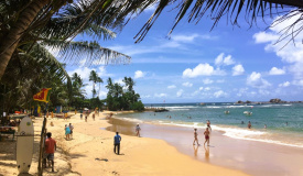 13 denní poznávací zájezd na Srí Lance